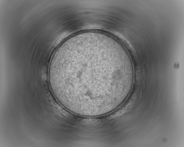 X0000094450929200711291655