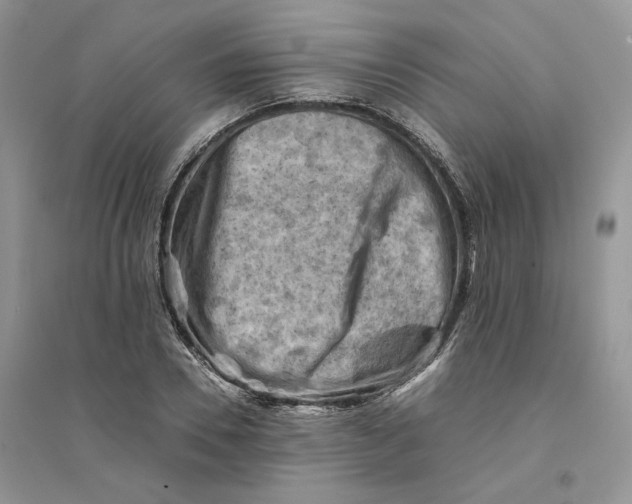 X0000094450930200711291655