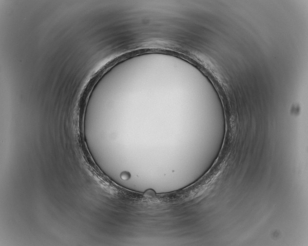 X0000094450931200711291655