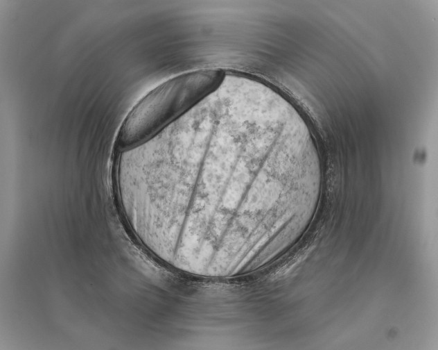 X0000094450932200711291655