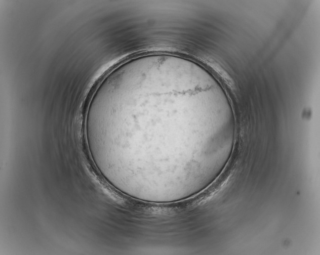 X0000094450933200711291656