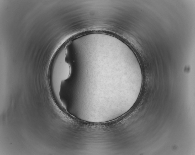 X0000094450934200711291656