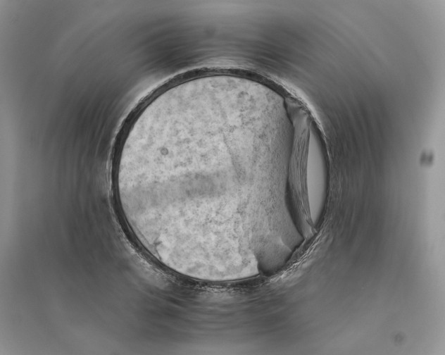 X0000094450935200711291656