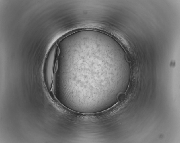 X0000094450936200711291656