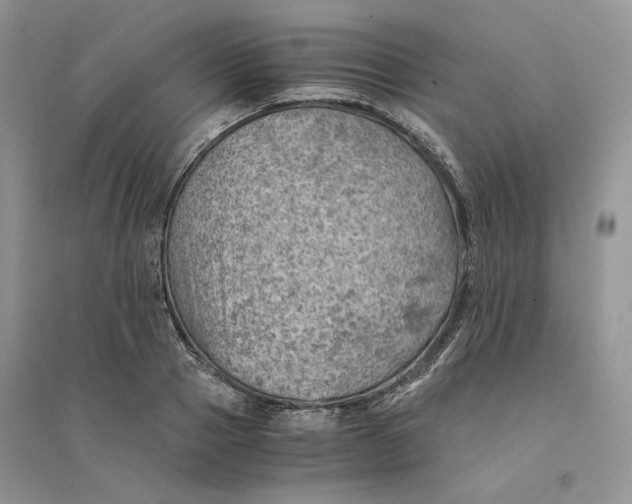 X0000094450937200711291656