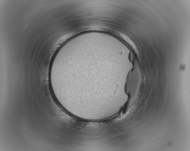 X0000094450938200711291656