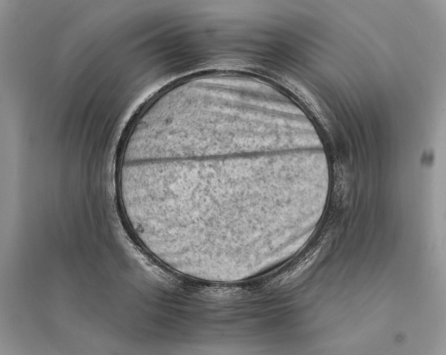 X0000094450939200711291656