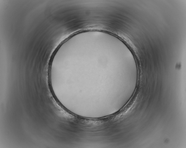 X0000094450941200711291656