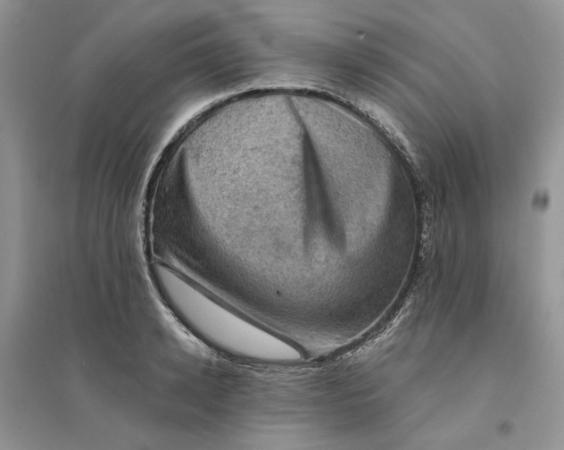 X0000094450942200711291656