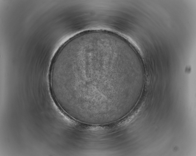 X0000094450943200711291656