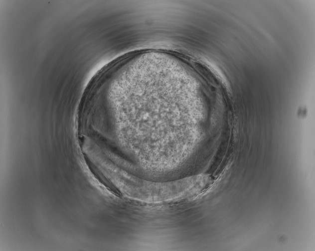 X0000094450944200711291656