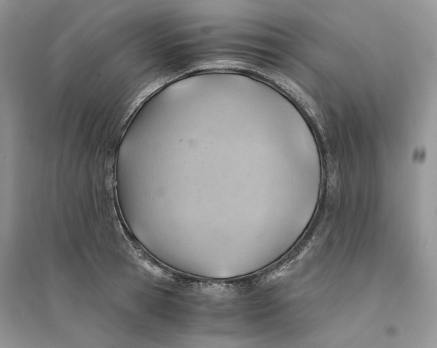 X0000094450945200711291656