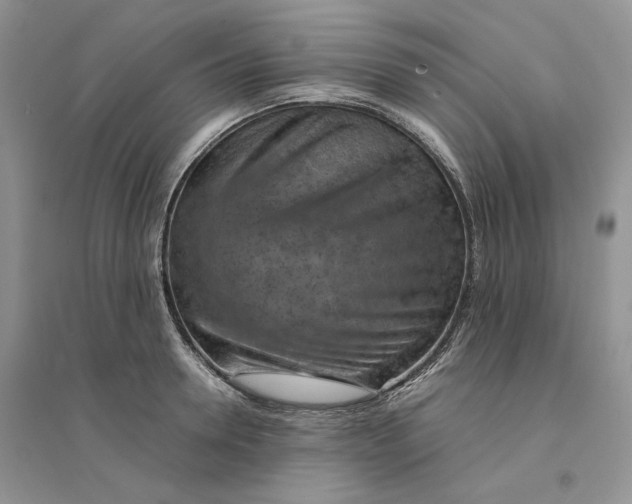 X0000094450946200711291656