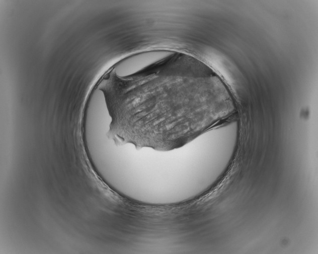 X0000094450948200711291656