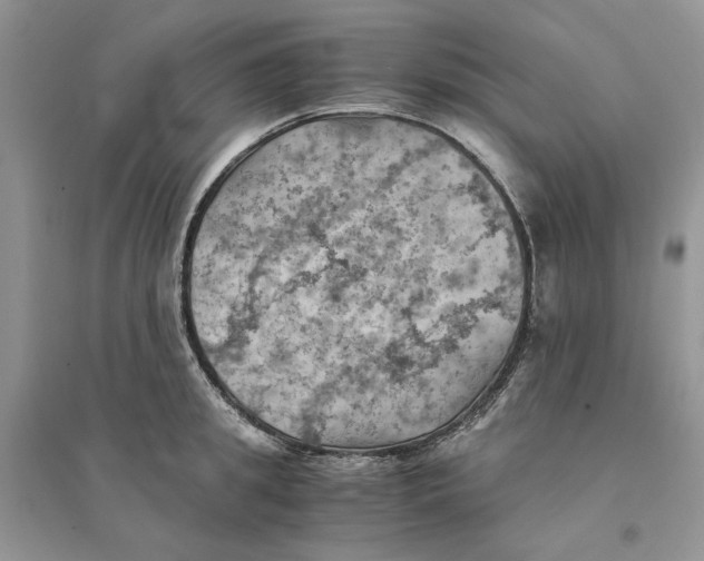 X0000094450949200711291656