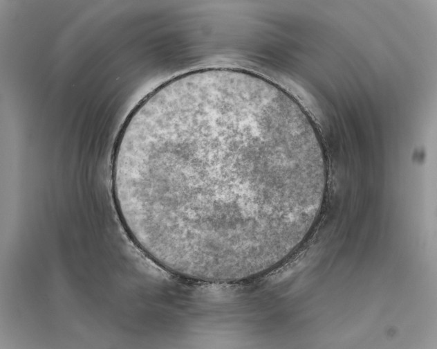 X0000094450950200711291656