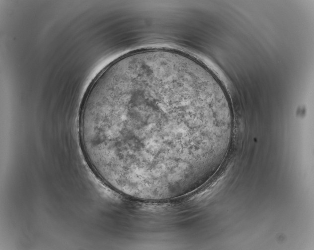 X0000094450951200711291656