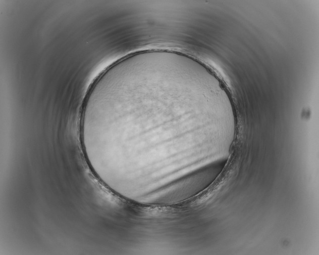 X0000094450952200711291656