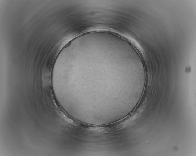 X0000094450953200711291656