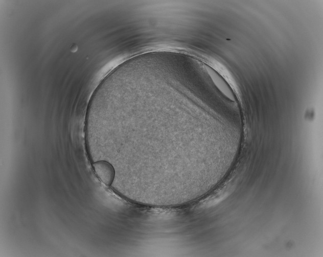 X0000094450954200711291656