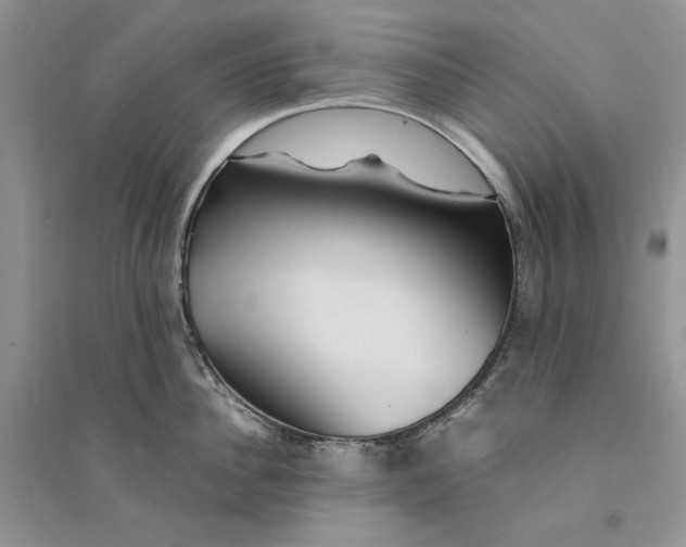 X0000094450956200711291656