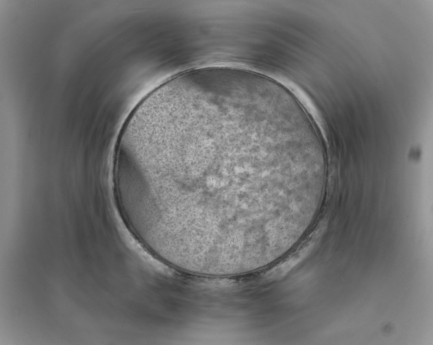 X0000094450957200711291656