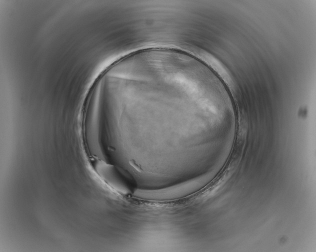 X0000094450958200711291656