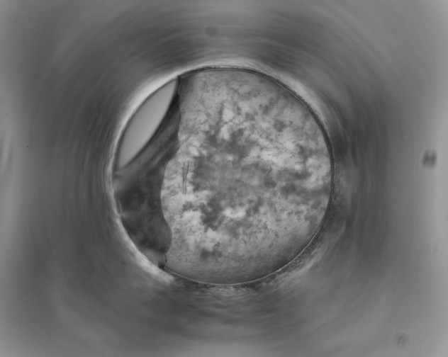 X0000094450959200711291656