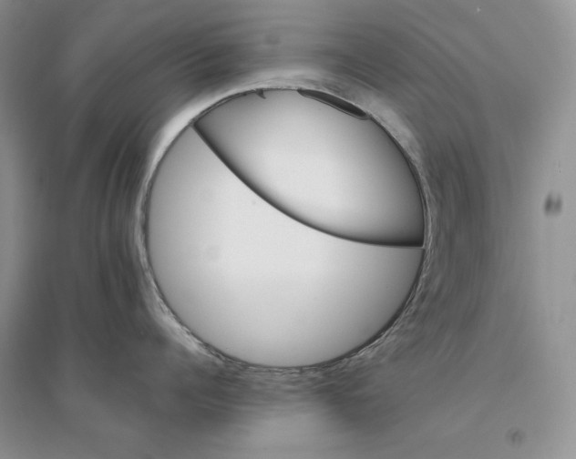 X0000094450960200711291656