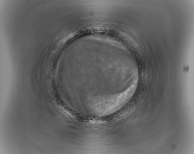 X0000094450961200711291655