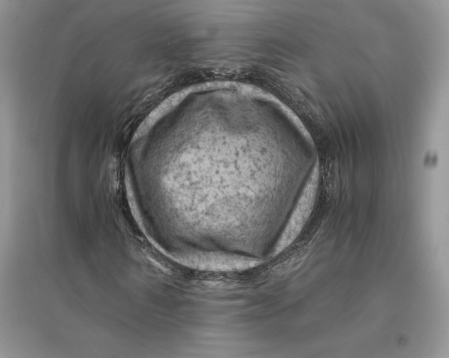 X0000094450962200711291655