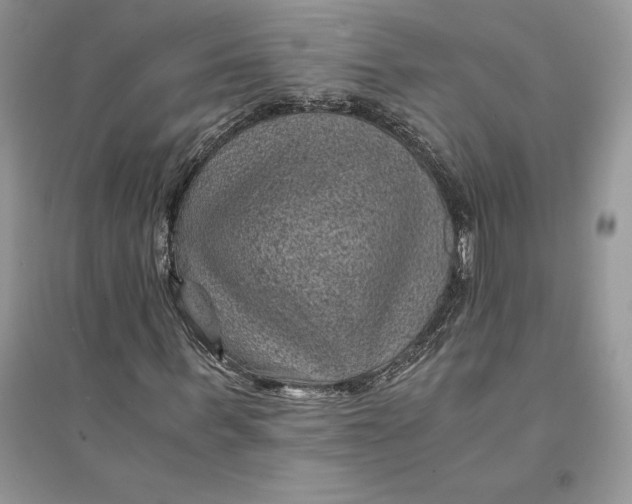 X0000094450963200711291655