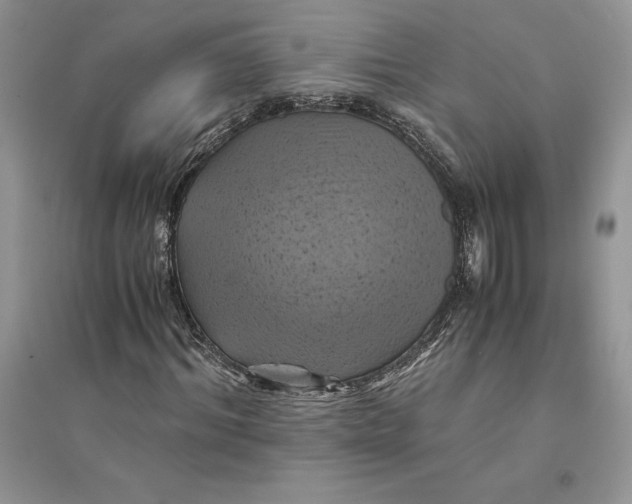 X0000094450964200711291655