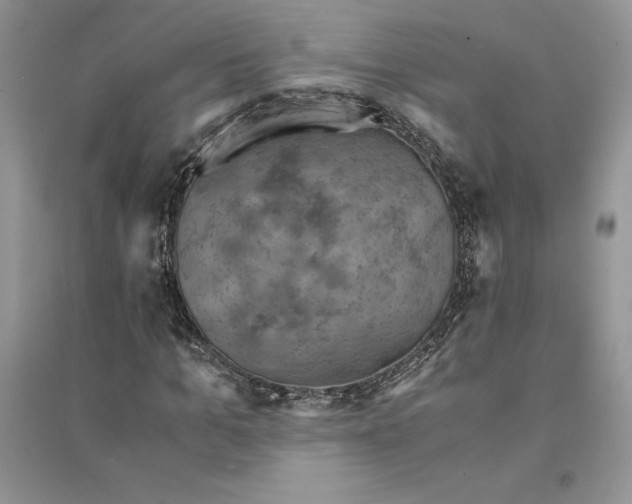 X0000094450965200711291655