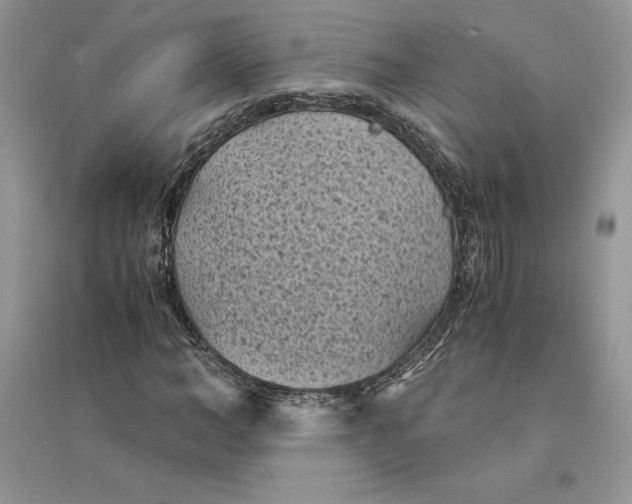 X0000094450966200711291655