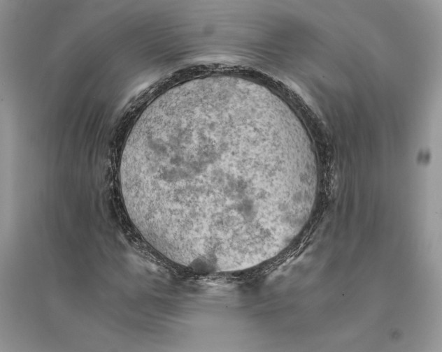 X0000094450967200711291655