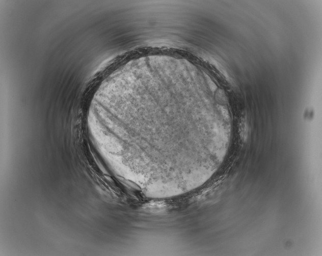 X0000094450968200711291655