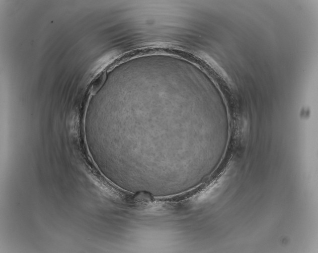 X0000094450969200711291655