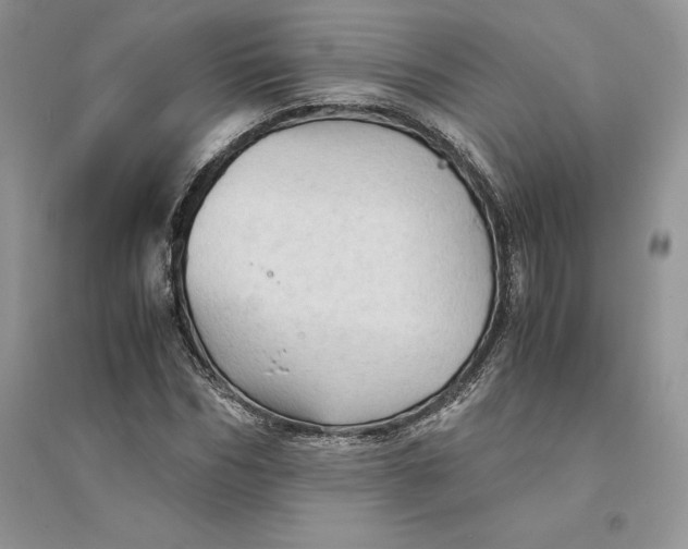 X0000094450970200711291655