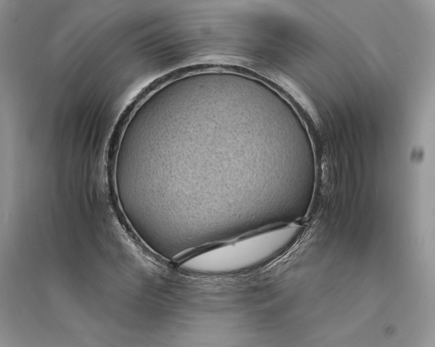 X0000094450972200711291655