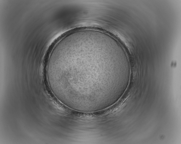 X0000094450975200711291655