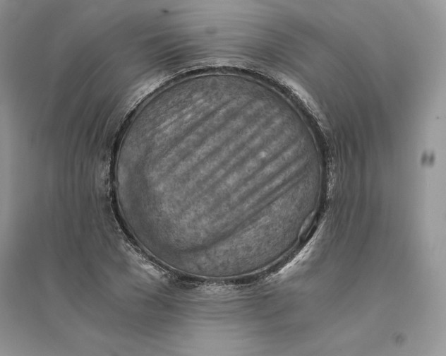 X0000094450977200711291655