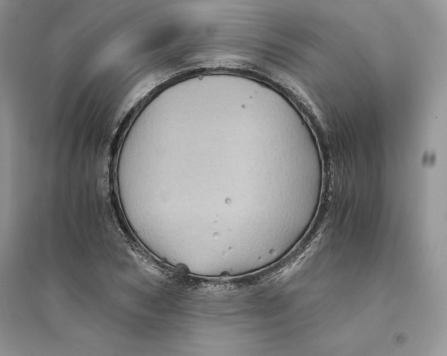 X0000094450978200711291655