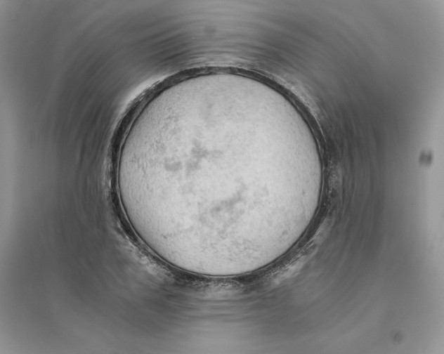 X0000094450979200711291655