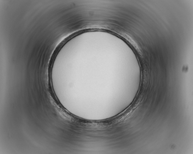 X0000094450980200711291655