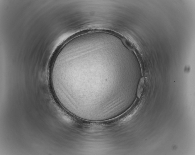 X0000094450981200711291655