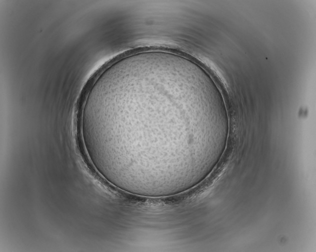 X0000094450983200711291655