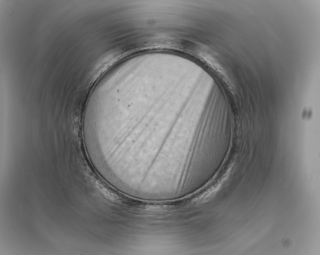 X0000094450985200711291655