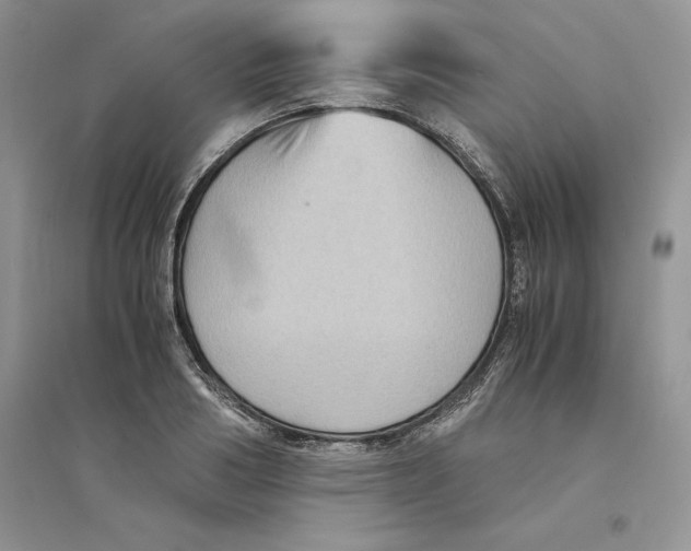 X0000094450986200711291655