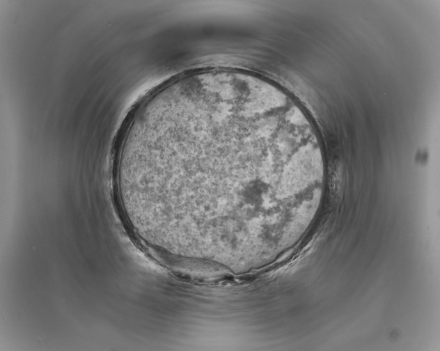 X0000094450987200711291655